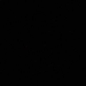 Meet your Posher, Ellina